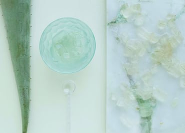 Conoce las propiedades y beneficios del aloe vera para la salud
