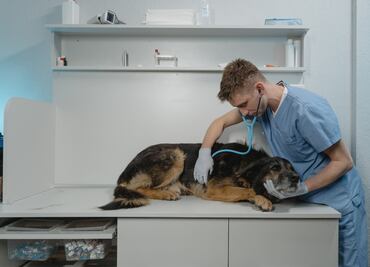 Capacitan a Policía municipal de Tizayuca en veterinaria forense y zootecnia