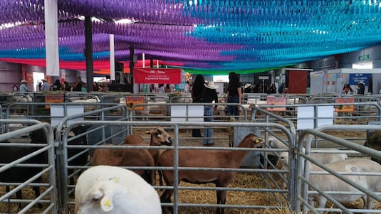 Esperan más de 10 mil visitantes por día en Expo Ganadera Hidalgo; PC realiza verificaciones preventivas 