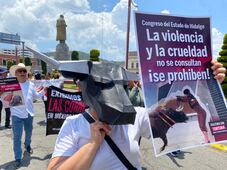 Consulta sobre corridas de toros en Hidalgo requerirá más urnas, papeletas y funcionarios de casilla