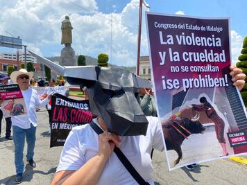 Consulta sobre corridas de toros en Hidalgo requerirá más urnas, papeletas y funcionarios de casilla