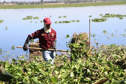 Hidalgo refuerza esfuerzos ambientales en la Presa Endhó con intervenciones prioritarias