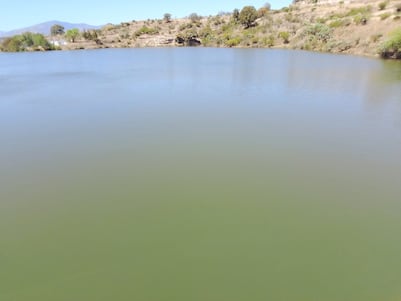 Presas de Hidalgo y Valle de México registran almacenamiento promedio de 94.2%