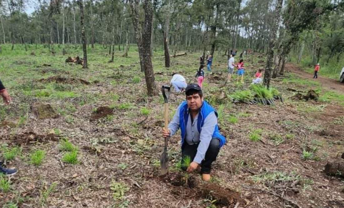 Reforestación de Tulancingo I Foto: Silvicultores Tulancingo