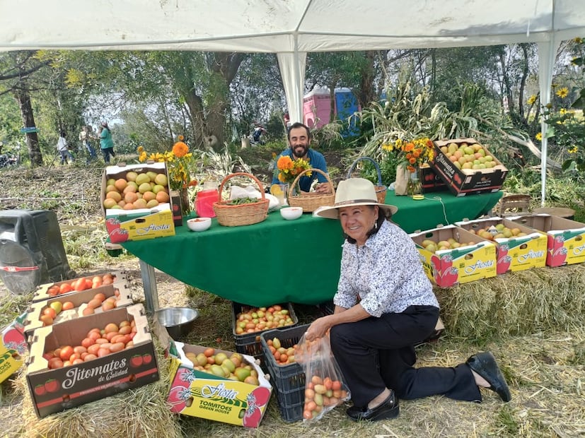 Tulancingo florece con la primera Feria del Girasol 2025 | Foto: Grisel Lira