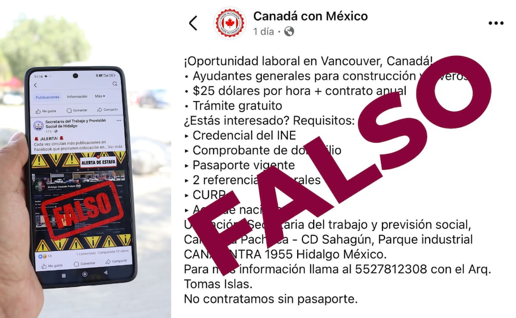 ¡Cuidado con las ofertas falsas de empleo en redes! Foto: STPSH