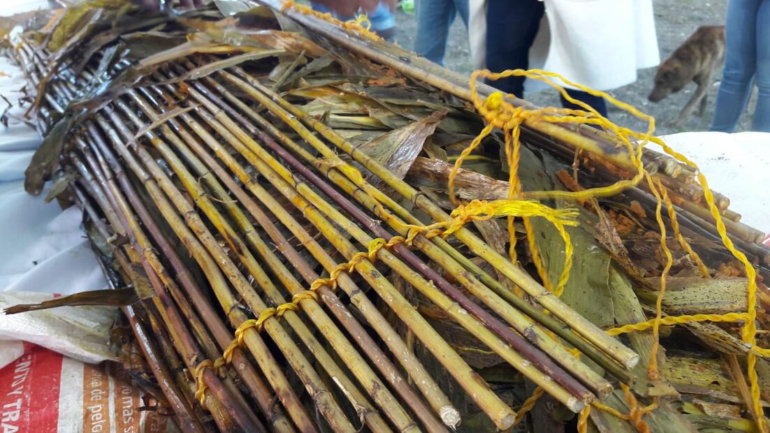 En Santiago de Anaya realizaran segunda muestra de zacatamal
Foto: especial
