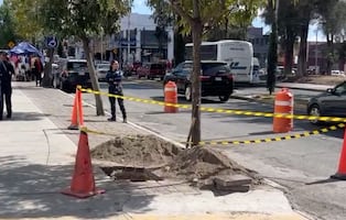 Hallan restos óseos durante obras en avenida Madero