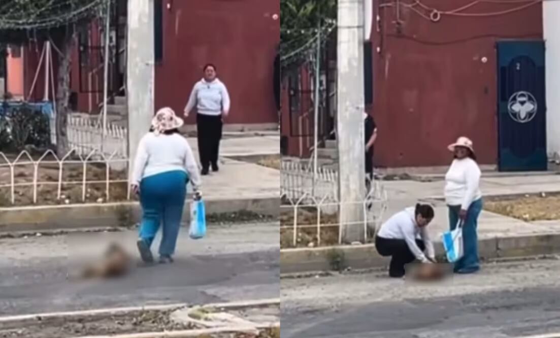 Gracias a la valiente intervención de Yamilé y su hijo Bayron, hoy está viva | Capturas de video