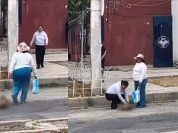 Causa indignación en Pachuca maltrato animal; colectivos exigen justicia y aplicación de reformas