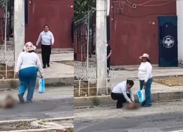 Causa indignación en Pachuca maltrato animal; colectivos exigen justicia y aplicación de reformas