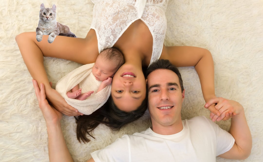 ¿Es recomendable que los gatos convivan con un bebé.? Foto: Especial