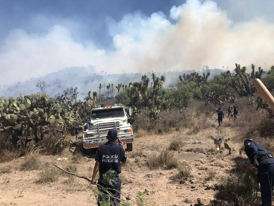 Incendio I Foto: Especial