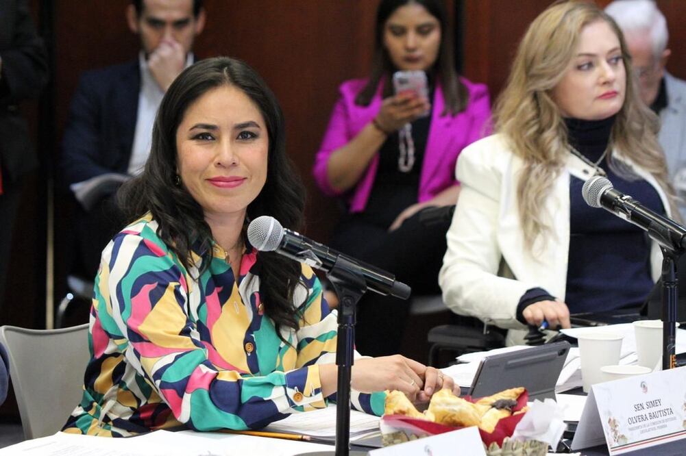 La iniciativa considera que a la persona autora del delito se le impondrá una pena de 10 a 15 años de prisión, además de que ese delito amerita prisión preventiva oficiosa |Twitter: Paloma de Morena