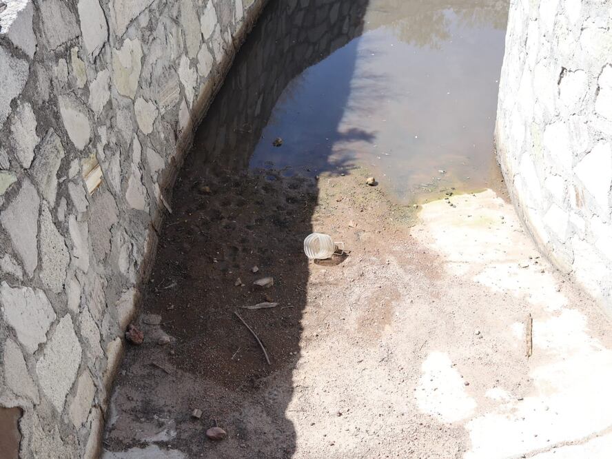 Foto: Cinthya Carbajal