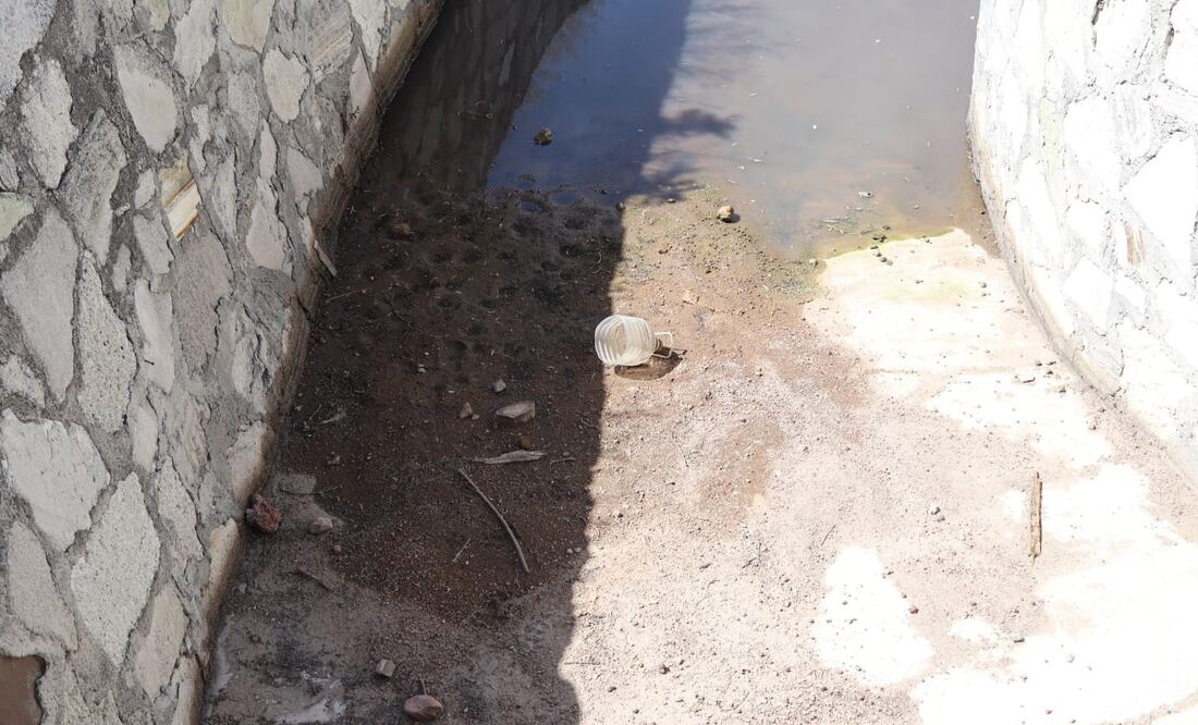 Foto: Cinthya Carbajal