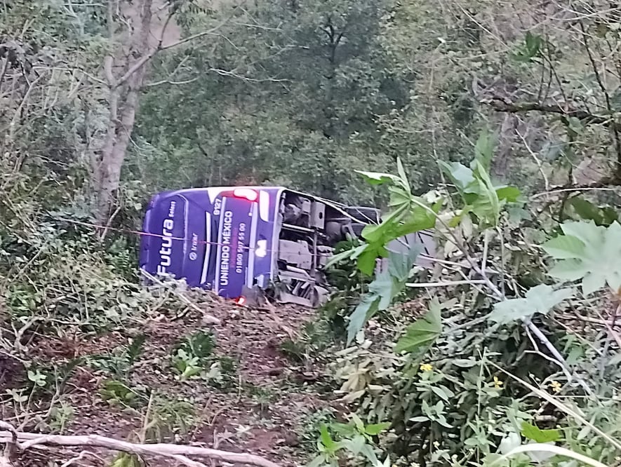 Al menos 5 personas fallecieron en el accidente del autobús en la carretera México-Tampico