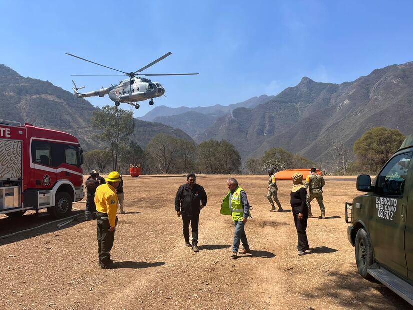 Incendio en Nicolás Flores controlado al 95% | Foto: Especial