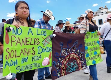 Protestan en Pachuca contra megaproyecto solar que amenaza magueyales y fauna en Hidalgo