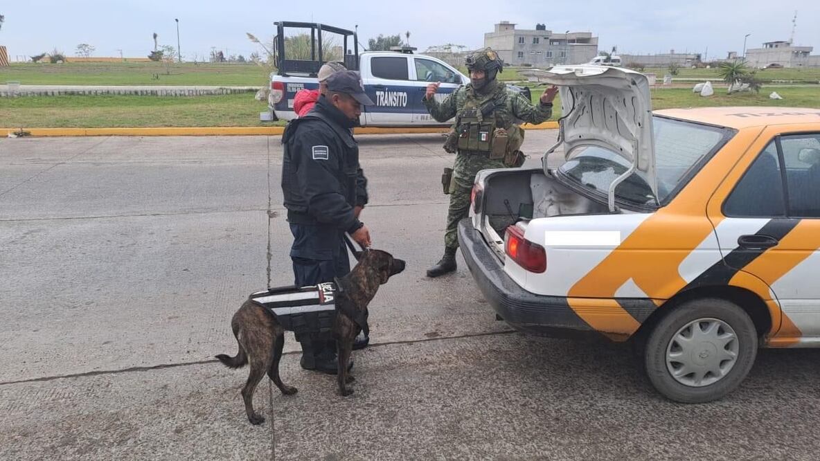 Como este diario informó, en los últimos días una dupla de asaltantes han estado atracando diversos automóviles de alquiler tipo taxi, el día de ayer lo volvieron a hacer en la zona de Haciendas de Tizayuca, sin embargo aún no han sido detenidos.