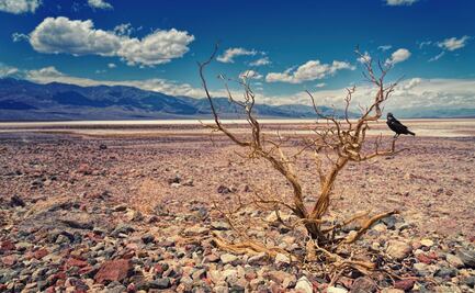 Sequía en Hidalgo se agrava; afecta ya a 14 municipios