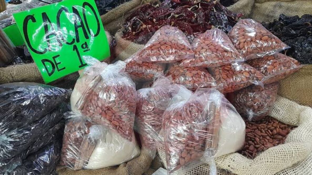 En total se entregarán 150 toneladas de cacao para toda la Huasteca | Foto: Especial
