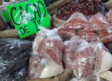 En vísperas del Xantolo el precio del cacao está por las nubes