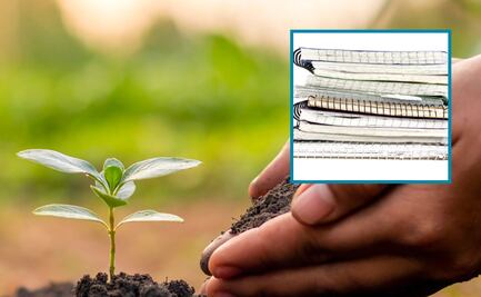 Cuautepec impulsa campaña de reciclaje de útiles escolares con entrega de semillas