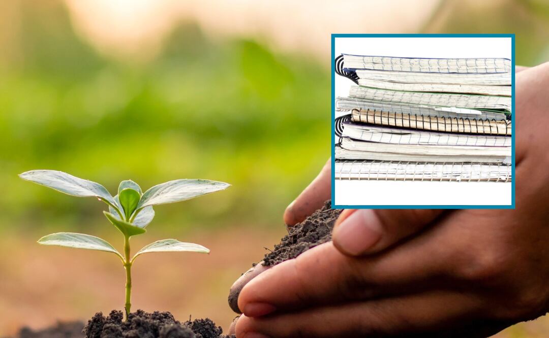 Foto: Pixabay | Imagen ilustrativa