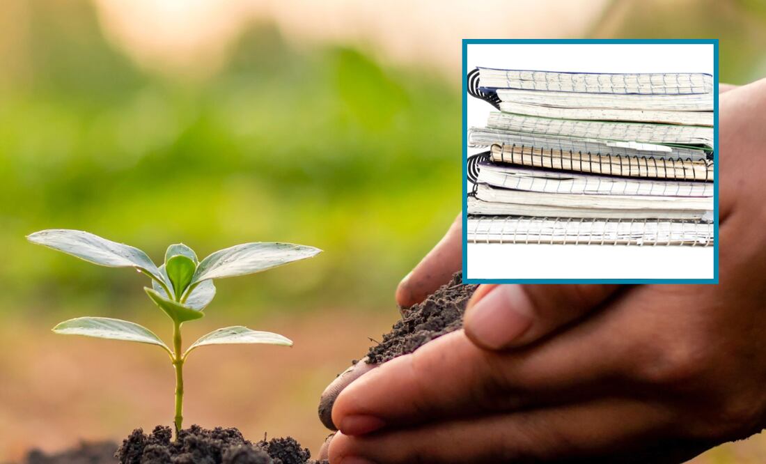 Foto: Pixabay | Imagen ilustrativa