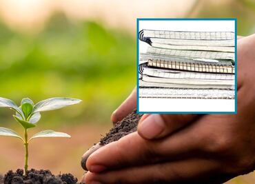 Cuautepec impulsa campaña de reciclaje de útiles escolares con entrega de semillas