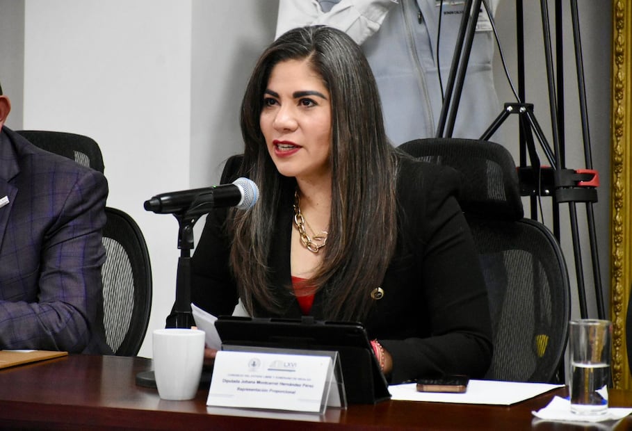 Proponen reforma para reforzar protección a menores en movilidad en Hidalgo | Twitter: LXVI Legislatura de Hidalgo