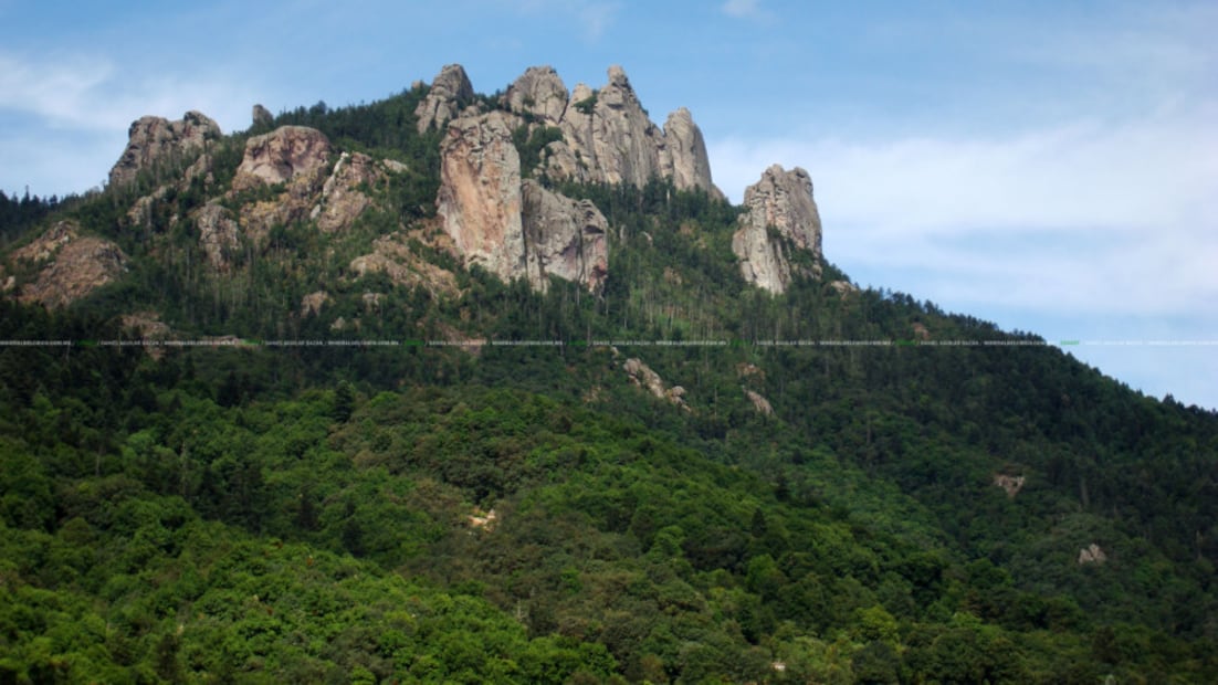 Entre bosques, puentes y senderos extremos, así es la aventura en el Ejido El Puente | Foto: https://www.mineraldelchico.com.mx/