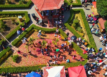 Mineral del Chico, 150 años de tradición en su emblemática "lluvia de pétalos"