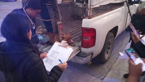 Rescatan a perritos que se encontraban en situación precaria en Tizayuca