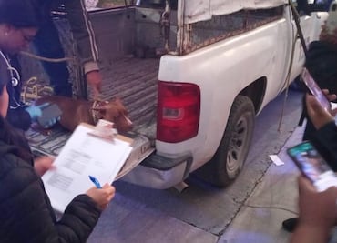 Rescatan a perritos que se encontraban en situación precaria en Tizayuca