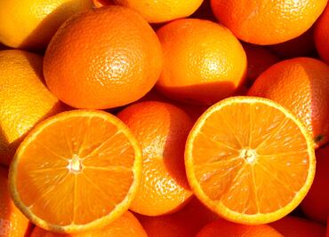 Productores de Huejutla estrenan báscula citrícola para evitar abusos en la venta de naranja