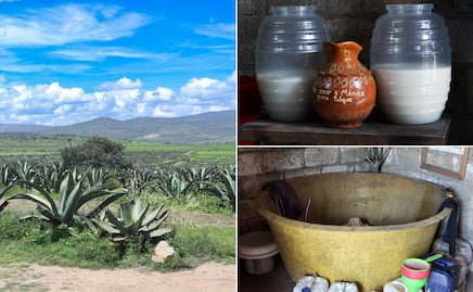 El pulque: la bebida ancestral que sigue conquistando paladares en México