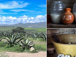 El pulque: la bebida ancestral que sigue conquistando paladares en México
