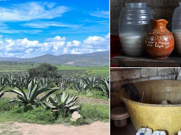 El pulque: la bebida ancestral que sigue conquistando paladares en México