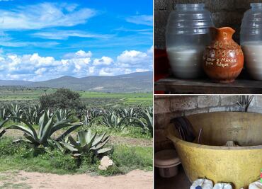 El pulque: la bebida ancestral que sigue conquistando paladares en México