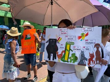 Por practicar la tauromaquia, exigen cierre de plaza de toros Vicente Segura