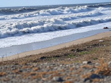 Marina emite alerta sobre costas del Pacífico, tras terremoto de 8.8 en Rusia; "se esperan corrientes fuertes en los puertos" 