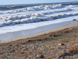 Marina emite alerta sobre costas del Pacífico, tras terremoto de 8.8 en Rusia; "se esperan corrientes fuertes en los puertos"