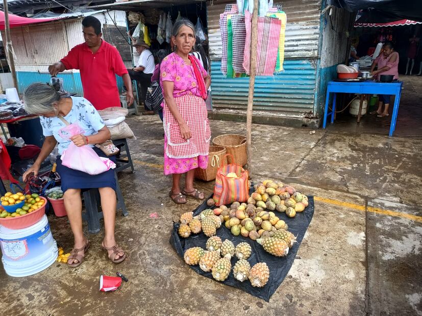 En esta temporada la abundancia de mango genera que su precio este muy bajo, pues se ponen a la venta 3 mangos de cualquier especie por 10 pesos. I Foto: Francisco Bautista