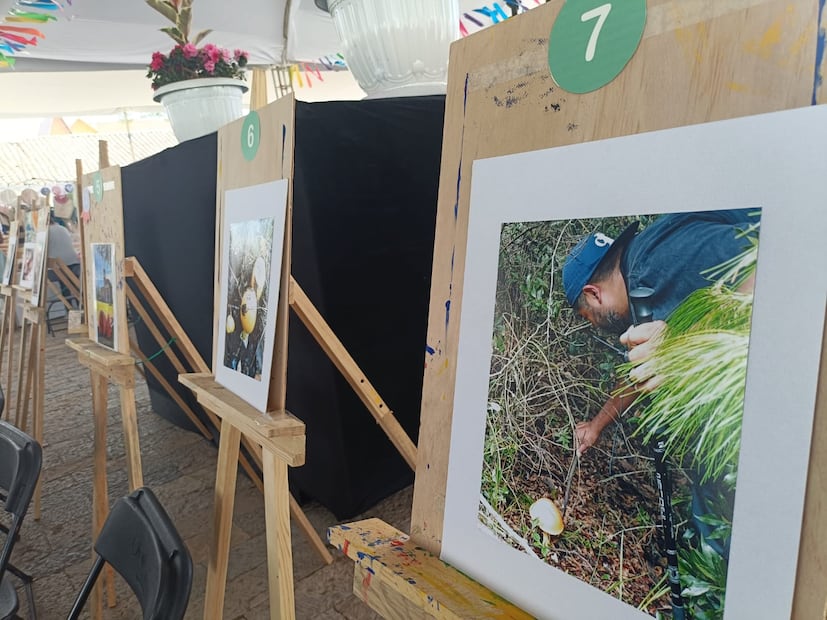 Así se vivió la Feria de la Manzana y el Hongo en Acaxochitlán I Foto: Grisel Lira