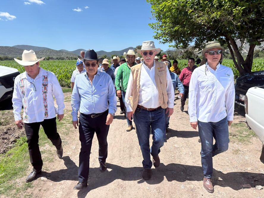 La tecnificación del campo prevé recurso federales, estatales y de los propios productores | Foto: especial