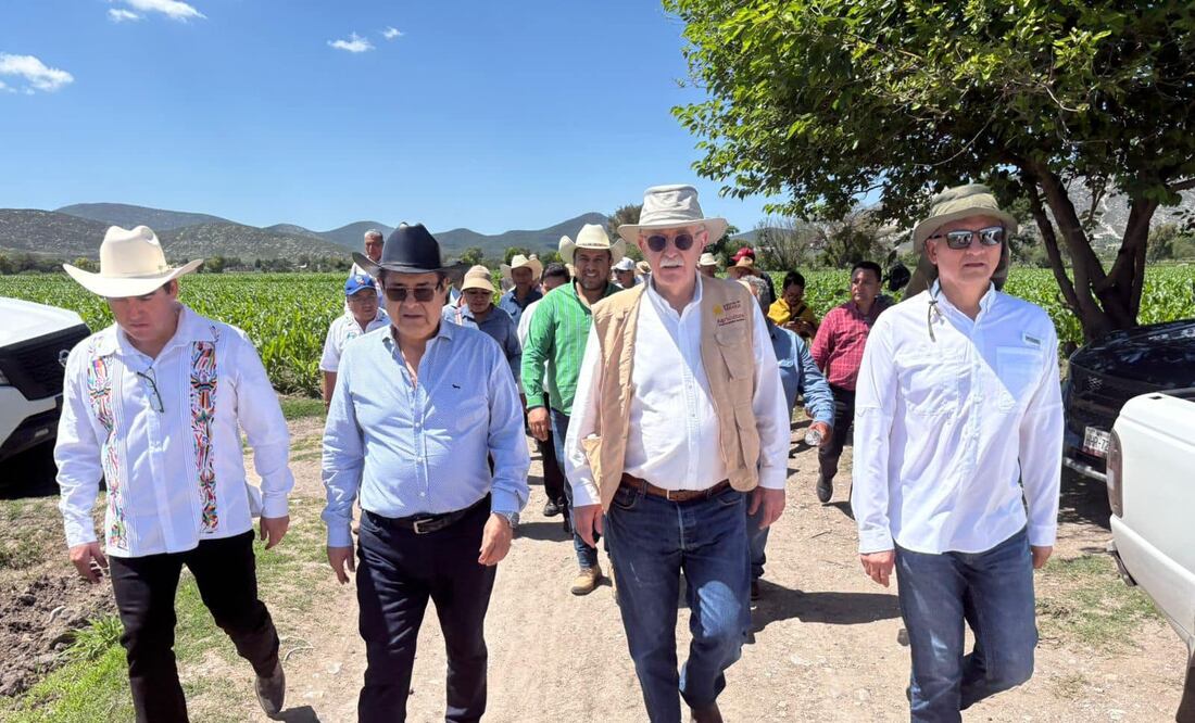 La tecnificación del campo prevé recurso federales, estatales y de los propios productores | Foto: especial