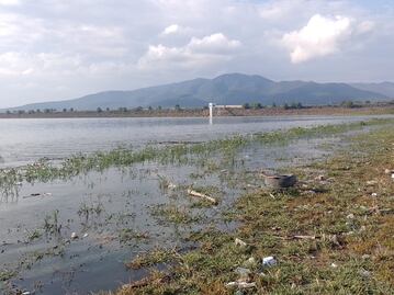 Avanza el proyecto de restauración ecológica en la región de Tula y Valle del Mezquital