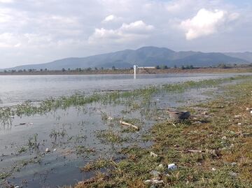 Avanza el proyecto de restauración ecológica en la región de Tula y Valle del Mezquital